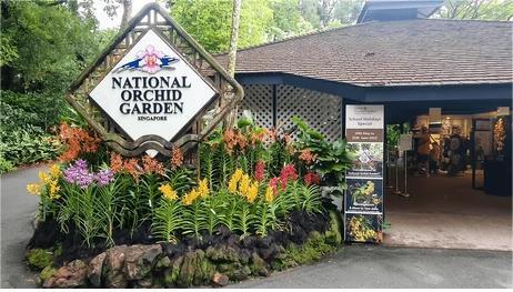 national-orchid-park-singapore