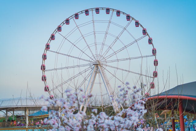 10-day-tour-plan-in-australia