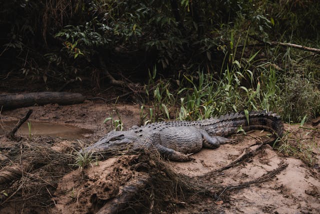 10-day-tour-plan-in-australia