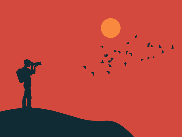 tourism-and-economic-development