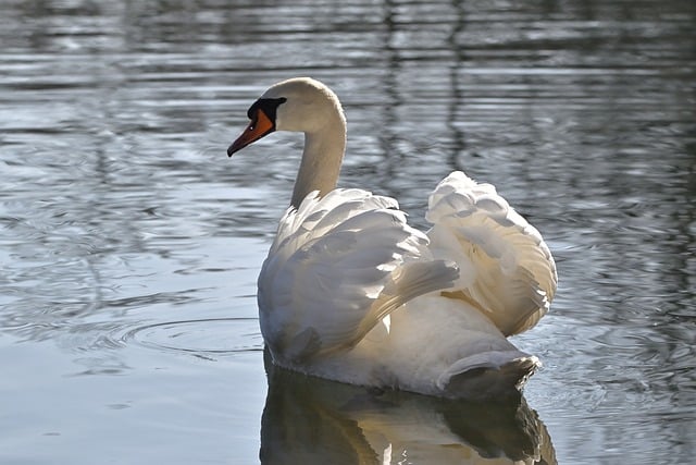 tourist-attractions-in-tanzania