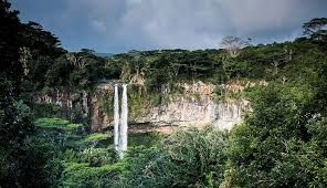 tourist-attractions-in-mauritius-black-river-gorges-national-park
